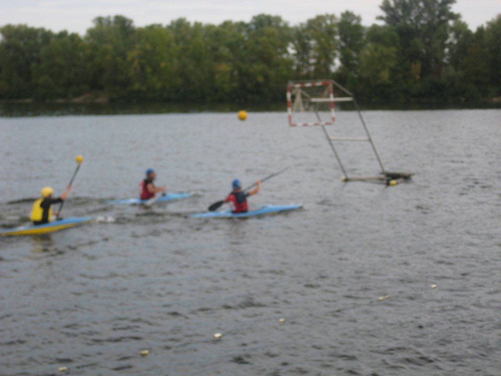 12006464_1610124885919365_1345459491674248693_o