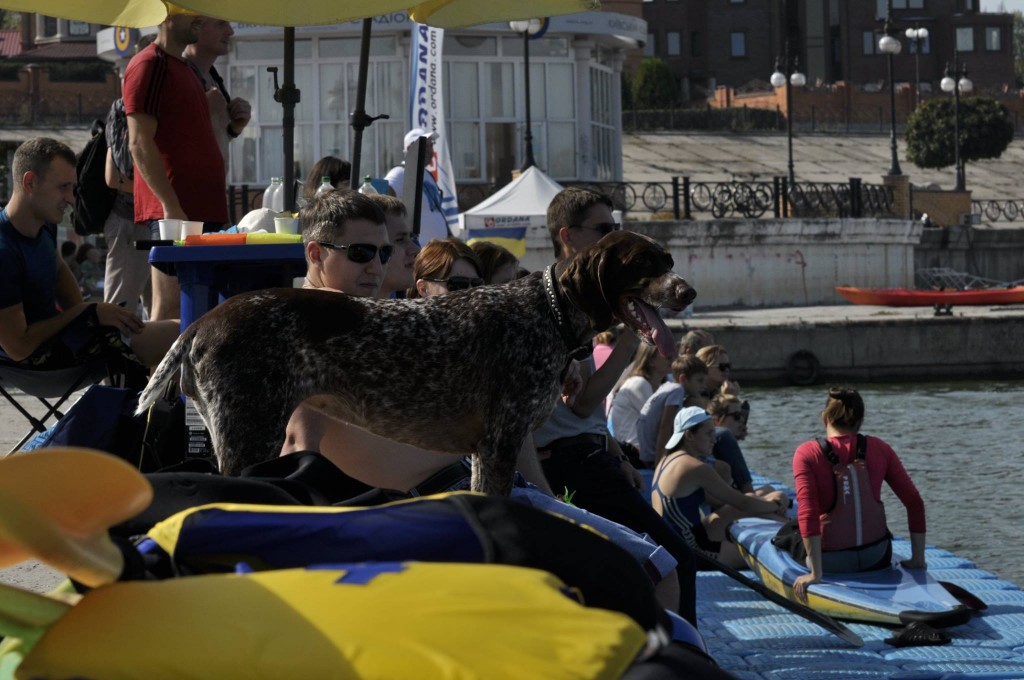 12027338_836385943145286_5490940969237817109_o