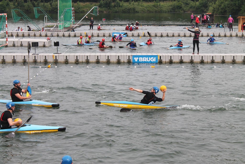 13502582_1185936401480940_8055352302021911176_o