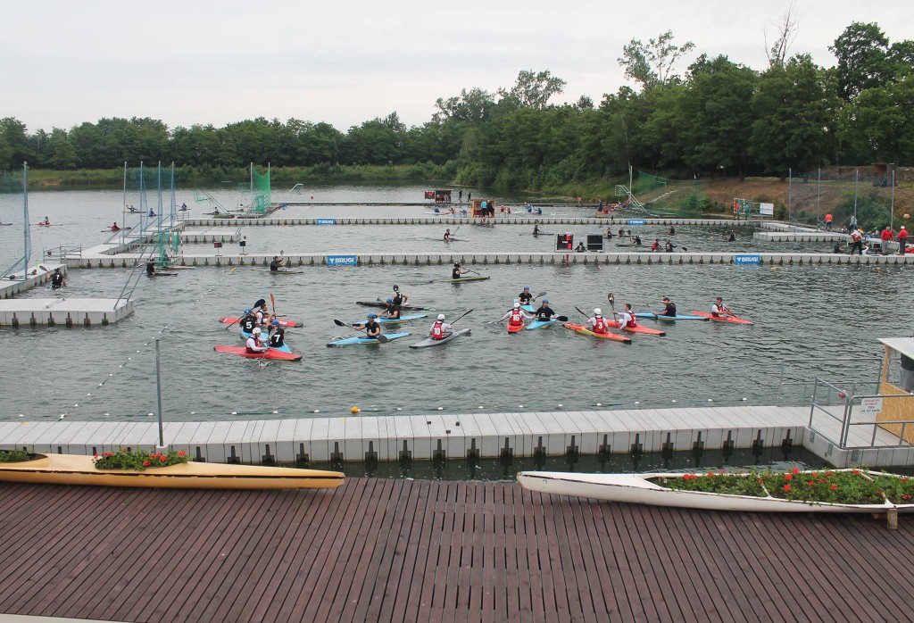 13502693_1185936008147646_2337159849363964739_o