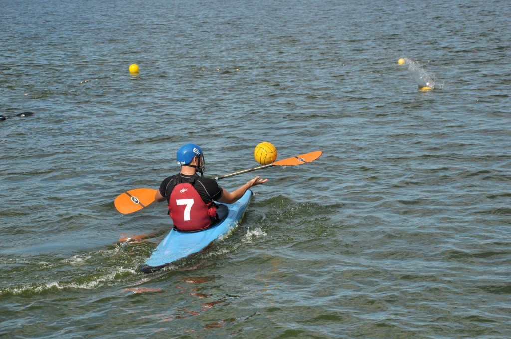 14310389_1057790317671513_7199328539702978415_o